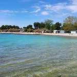 Perlica *