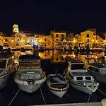 Perlica *