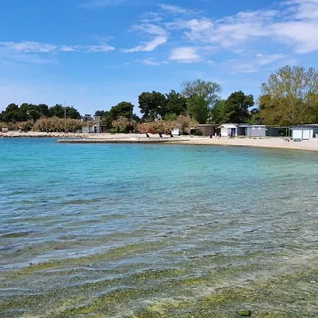 Perlica *
